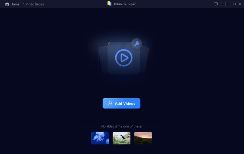 4ddig add your files