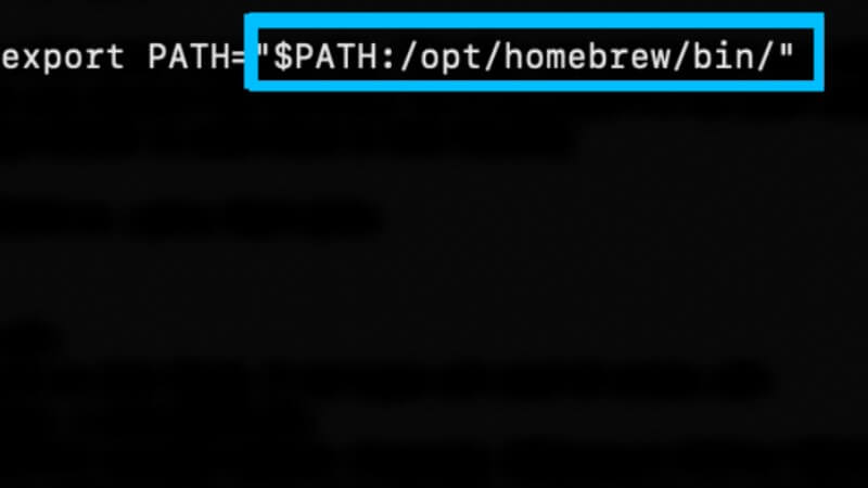 fix zsh command not found error