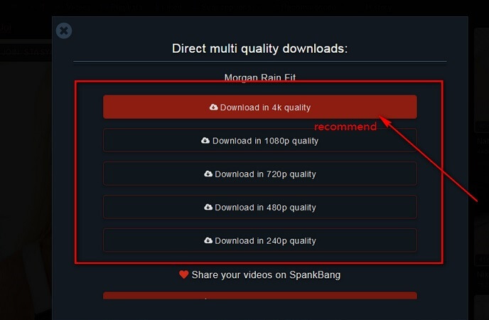 choose spankbang video quality