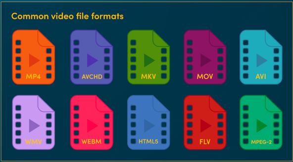 common video file formats