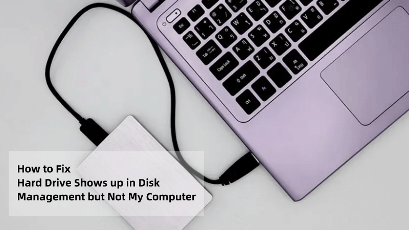 Hard Drive Shows in Disk Management But Not My Computer