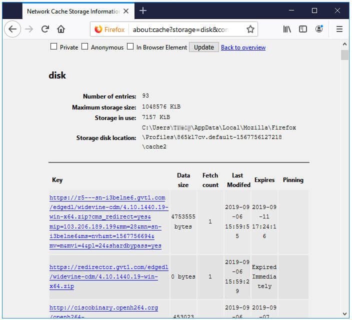 view firefox cache files