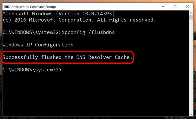 flush dns server