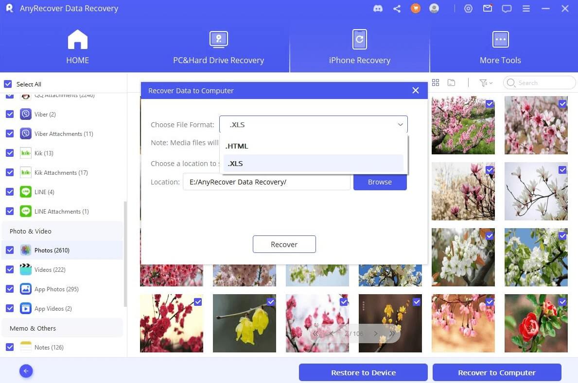 preview files and restore