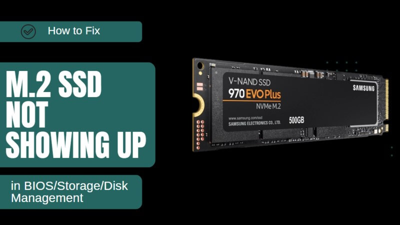 m.2 drive not showing up