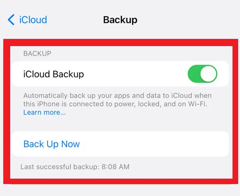 iCloud Backup section