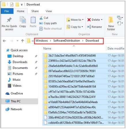softwaredistribution folder