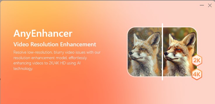 AnyEnhancer interface