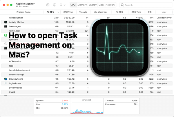 screenshot of task manager on mac