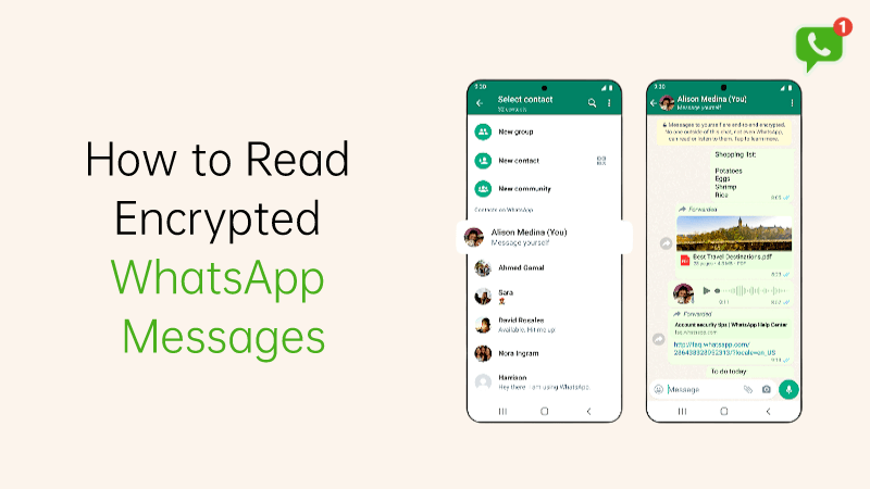 how to read encrypted whatsapp messages