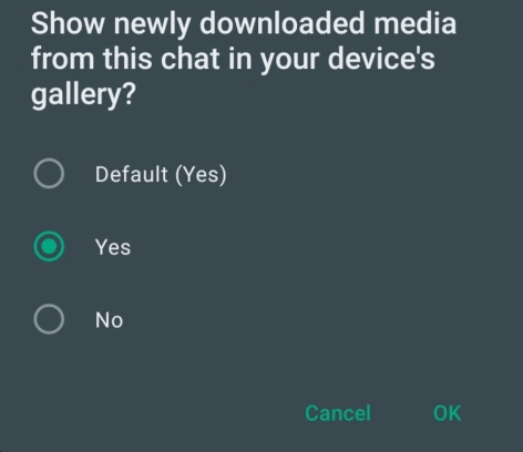 how to recover disappearing photos on whatsapp
