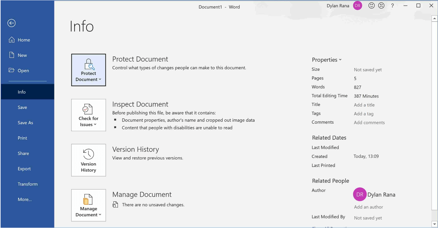 Word Protect Document