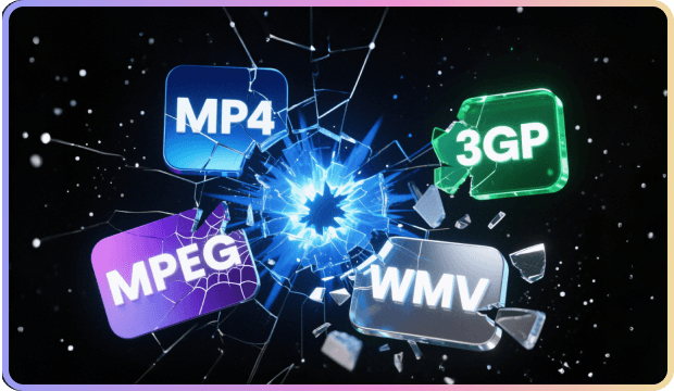 Comprehensive Support for Nearly All Video Formats