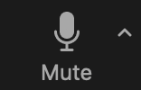 mute icon