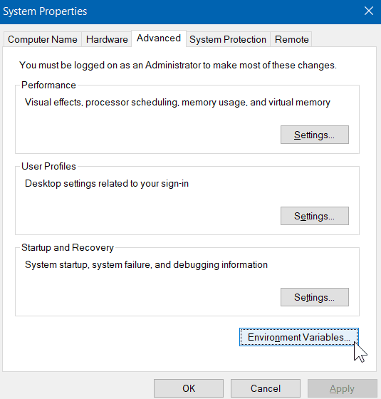 properties environment variables