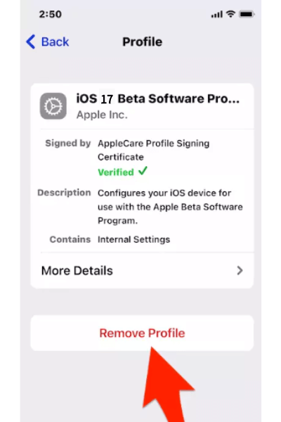 remove ios 18