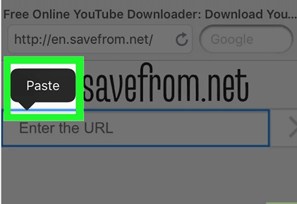 download the video file