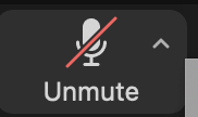 unmute icon
