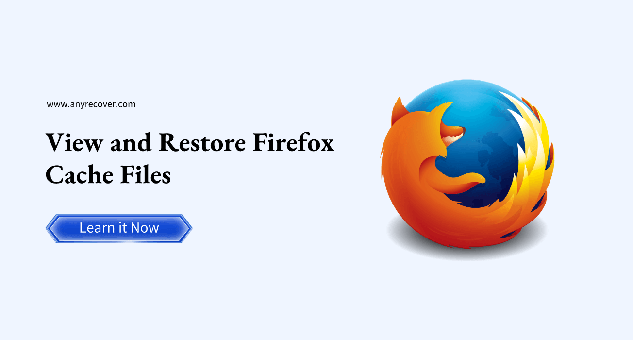 view and restore firefox cache folder