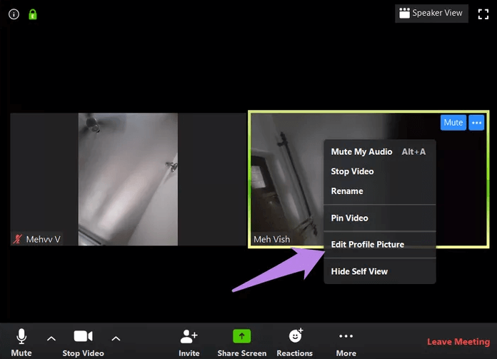 zoom edit profile picture