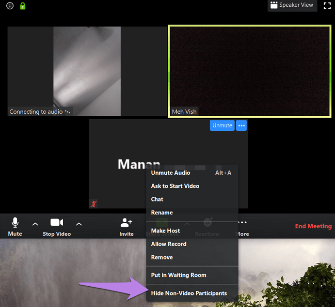 zoom hide participants with profile picture